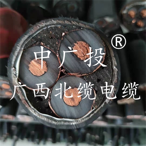 www.tssdn.cn