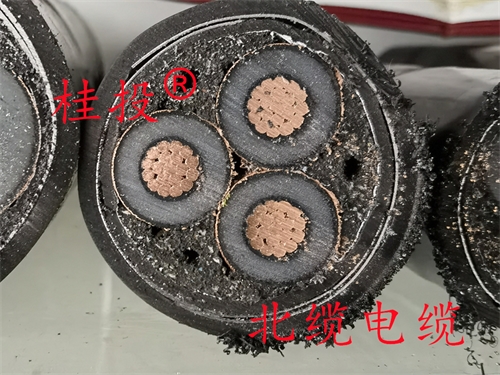 www.tssdn.cn