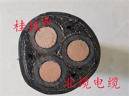 www.tssdn.cn