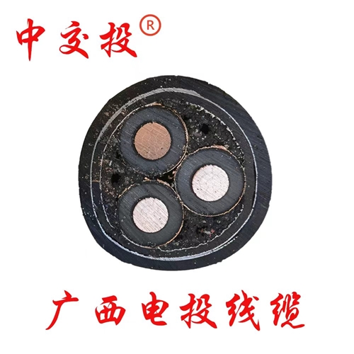 www.tssdn.cn